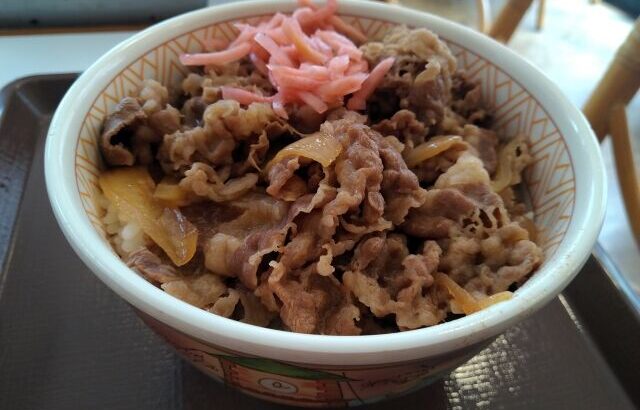 今日9日から期間限定で牛丼値下げ　吉野家398円　松屋380円　すき家350円　300円台😲