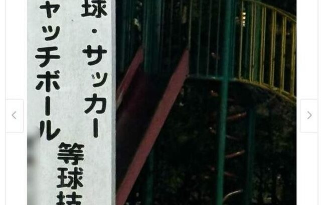 元テレ東アナ、公園の「球技禁止」の看板に「せつない…家の中でゲームしかしないのか」共存できる公共の場を望む