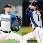 【悲報】今後NPBで2桁勝利2桁ホームランを達成出来そうな日本人、多分一生現れない