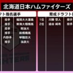 日本ハムファイターズ、指名した8人の内5人が高卒投手