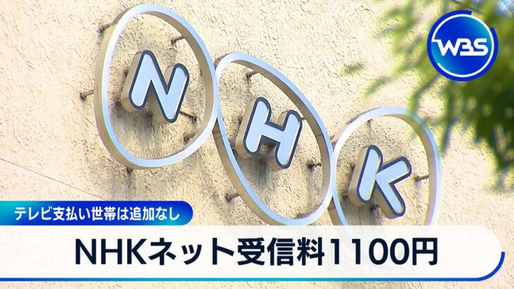 【必見】NHKネット受信の真実、月1100円で得られるものとは？