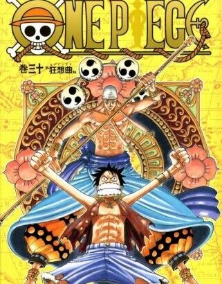 「ワンピース」空島編という、単行本で一気読みしたら一番面白い章ｗｗｗｗ