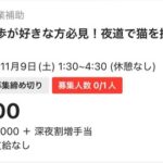 バイト「深夜に指定された道を通り、猫がいたら地図に印をつける仕事です(携帯は預かります)」←これ