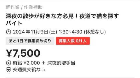 バイト「深夜に指定された道を通り、猫がいたら地図に印をつける仕事です(携帯は預かります)」←これ