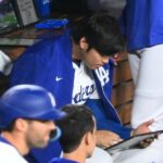 [プロ野球] 来季二軍戦でベンチ内タブレット使用解禁へ