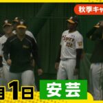 【必見】高知県出身の誇り！藤川球児監督がタイガースを優勝へ導く秘訣とは？