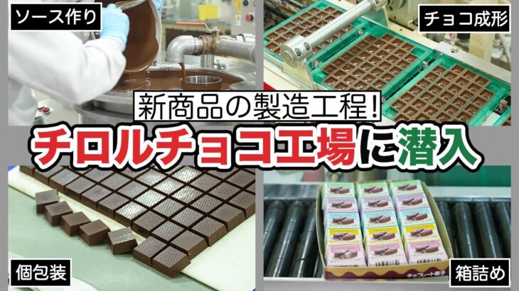 【速報】チロルチョコ公式、虫混入疑惑を説明 投稿主謝罪で決着   購入時期と保管状況に誤解