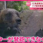 【動画】ヒグマ猟友会、駆除要請を拒否検討？！何が❓❗（まとめだかニュース速報）