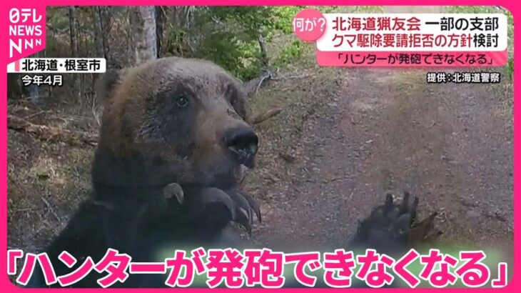 【動画】ヒグマ猟友会、駆除要請を拒否検討？！何が❓❗（まとめだかニュース速報）