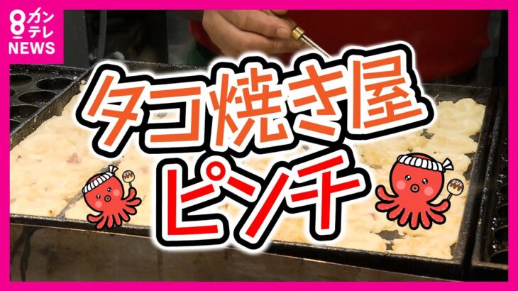 【必見】悪魔の魚に変わる？タコの価格上昇と日本市場の現状とは？