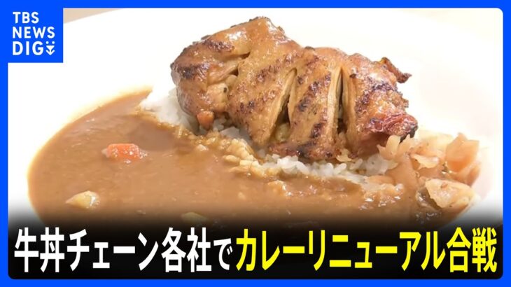 【必見】吉野家が挑む新たな味！カレー専門店開店の裏側とは？