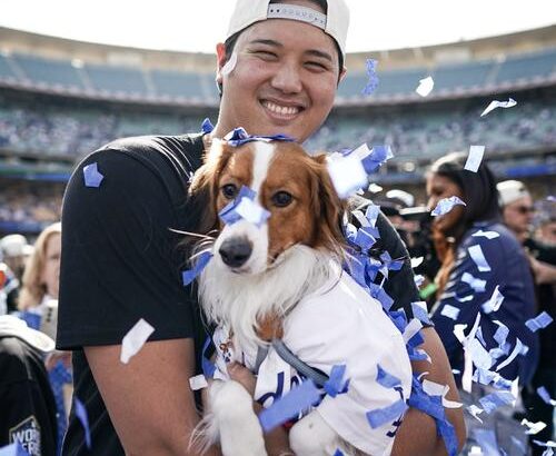 【朗報】大谷翔平の英語スピーチ力に「なかなか言えない。普段しゃべってますよ」「リスニングできる」