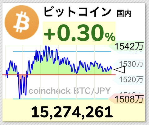 ビットコイン30万の時に買ってたの思い出したわ。1500万になってて草。