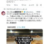 やす子、Xで不正ログイン被害か　予期せぬ投稿拡散に困惑「Android使ってないのに…」「ガチで本気でリポストした記憶ないです」