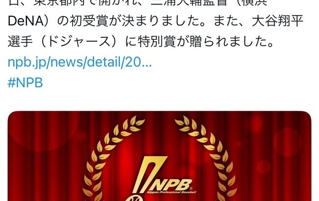 【悲報】MLB選手の大谷翔平、何故かNPBから賞を送られる