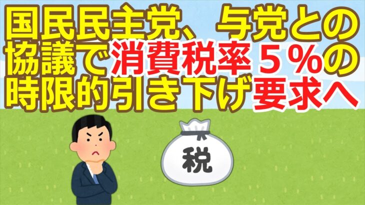 【国民民主党】与党に消費税5％に引き下げ要求へ　所得税基礎控除引き上げ、ガソリン暫定税率廃止も