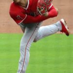 大谷の肘って次逝ったら終わり？