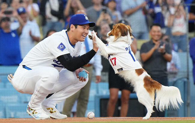 【MLB】デコピンが初受賞！今季の最優秀始球式