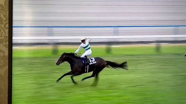 【動画】騎手、嬉しすぎてゴール手前からガッツポーズしまくってしまう