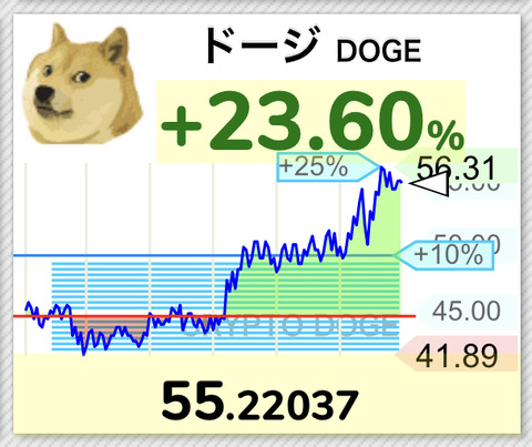 【朗報】仮想通貨DOGEが55円突破。ありがとうイーロンマスク