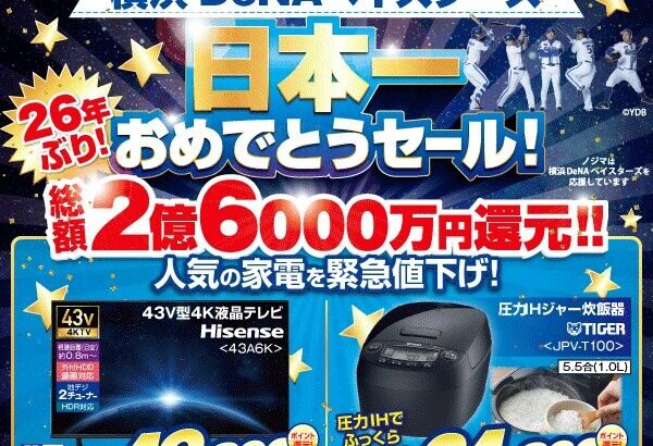 【悲報】Nojimaノジマの横浜DeNA日本一優勝セ―ル、ショボい😰（皆の想像の1000倍ショボい…）