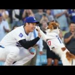 【MLB】大谷の愛犬デコピンが初受賞！「今季の最優秀始球式」ホームベースまで一直線に駆け抜けて！