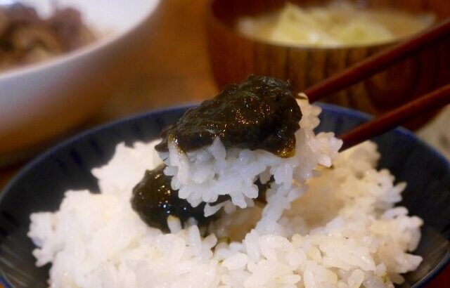 白米にかけて食うと美味いものｗｗｗ