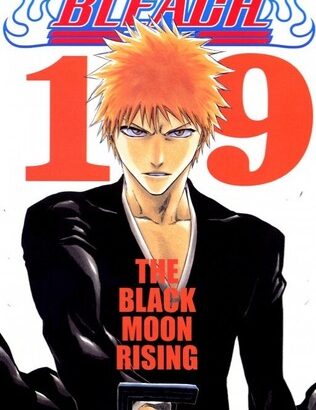 「BLEACH」の黒崎一護って、ルキア奪還編の時に隊長クラスの霊圧あったんだよな？？