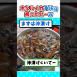 【驚愕】ホタルイカ10キロ捕ってきたから料理するぞw