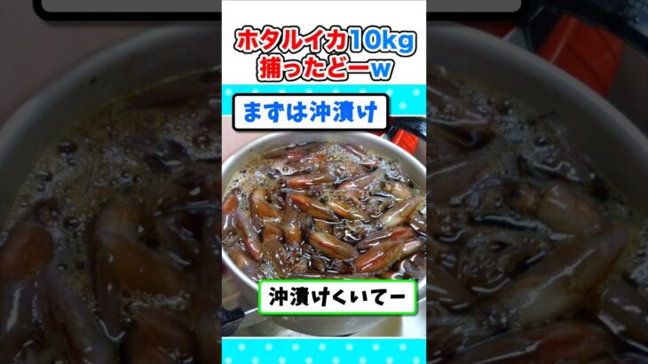 【驚愕】ホタルイカ10キロ捕ってきたから料理するぞw