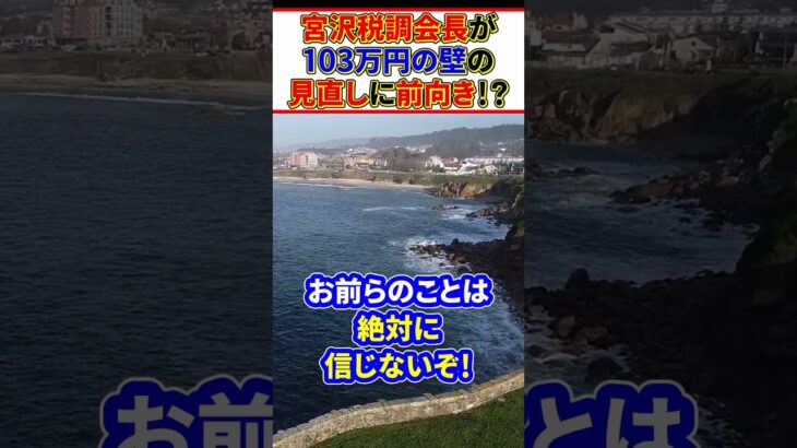 【マジかよ】宮沢税調会長と西村康稔大臣が「103万円の壁」見直しに前向きな姿勢を示したことが話題に