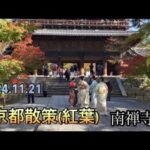 シニア生活　名古屋〜京都(紅葉) 日帰り旅