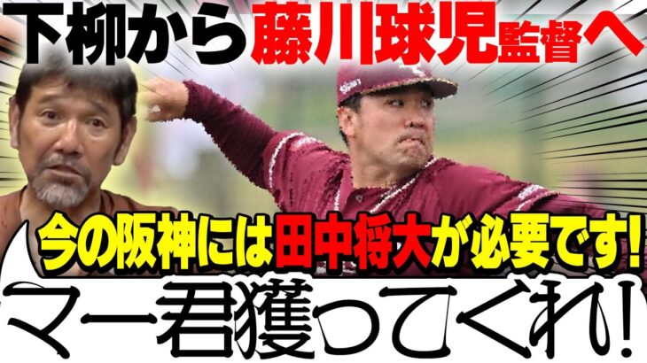 下柳剛「藤川監督、田中将大マー君を獲ってくれ」←この無責任感