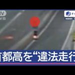 電動キックボードさん、高速道路に侵入