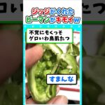 【仰天】ワイがジッジにもらったピーマンがキモイんやがw