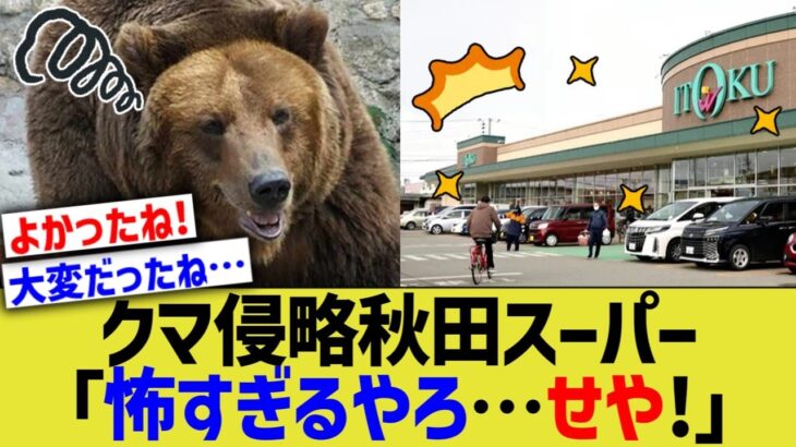 【驚愕】クマ侵略秋田スーパー「怖すぎるやろ…せや!」