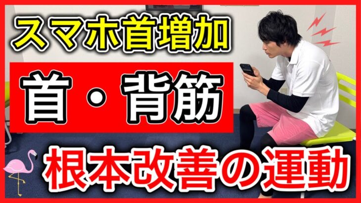 【高齢者に急増】長時間のスマホ操作でスマホ首や猫背の姿勢不良が増加。姿勢を改善するための首・肩甲骨・大胸筋の筋トレストレッチ