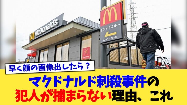 【驚愕】マクドナルド刺殺事件の犯人が捕まらない理由、これ