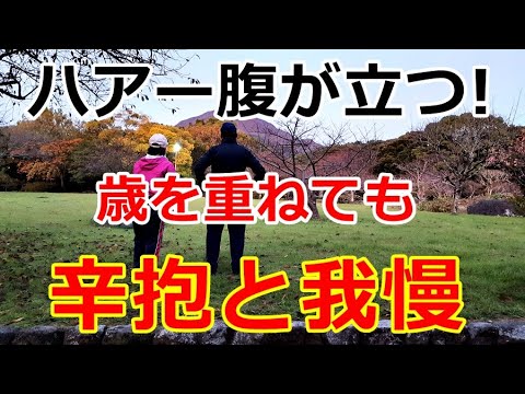 【シニアライフ】のらりくらり年金生活　ハアー腹が立つ！歳を重ねても辛抱と我慢の一年【のらりくらり年金生活チャンネル】