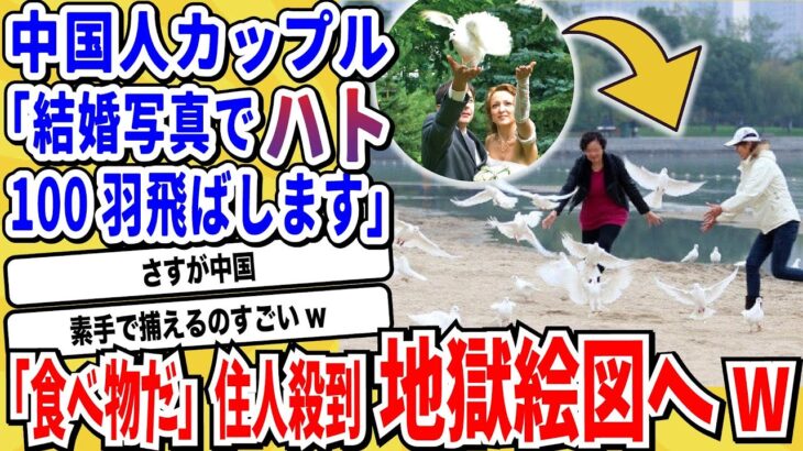 【驚愕】中国人カップルがウエディングフォトで「白いハト」100羽放った結果→「食べ物だ!」と住民殺到 → ハトほぼ全滅wwwww