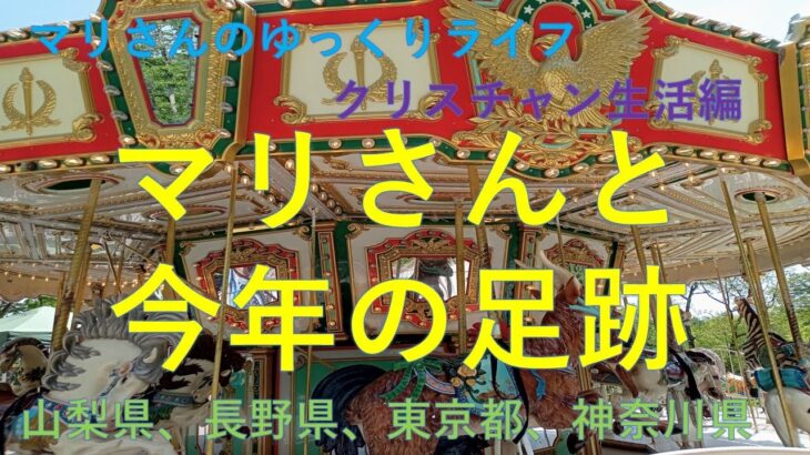 「シニアライフ」今年も残り少なくなったマリさん。今年旅行で行った所ややってきたことを思い出してみました。何か反省はあったのでしょうか？