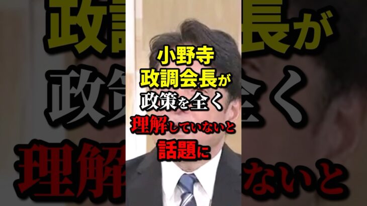 【動画】小野寺政調会長が政策を全く理解していないと話題に