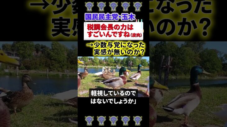 【仰天】国民民主党・玉木「税調会長の力はすごいんですね(皮肉)」→宮沢税調会長に批判殺到!!