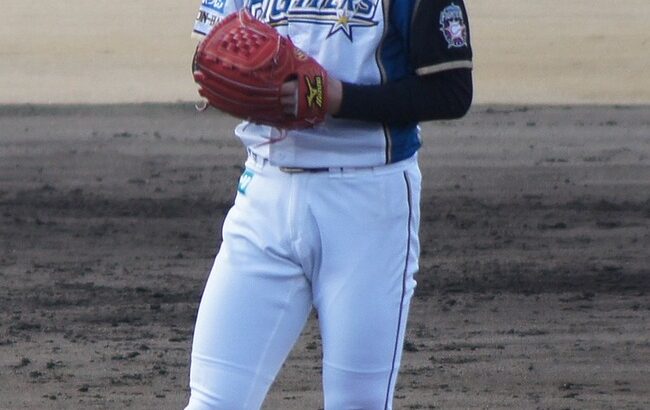 多田野数人(元メジャーリーガー、好青年、経験豊富)←解説者にならない理由