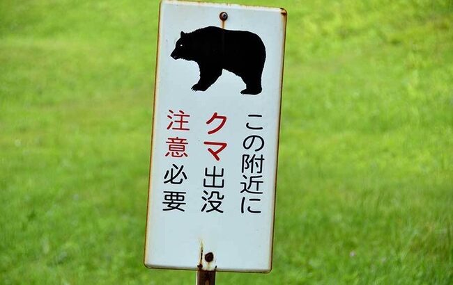 【悲報】「クマの出る場所に住むな！」→秋田県庁や秋田市役所にクレーム電話が殺到してしまう