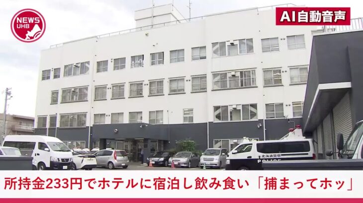 【悲報】32歳無職、所持金233円でホテルに一人宿泊豪遊して逮捕