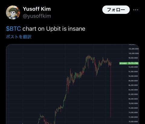 【悲報】韓国取引所のビットコインさんが命を刈り取る値動きwvwvwvwvw