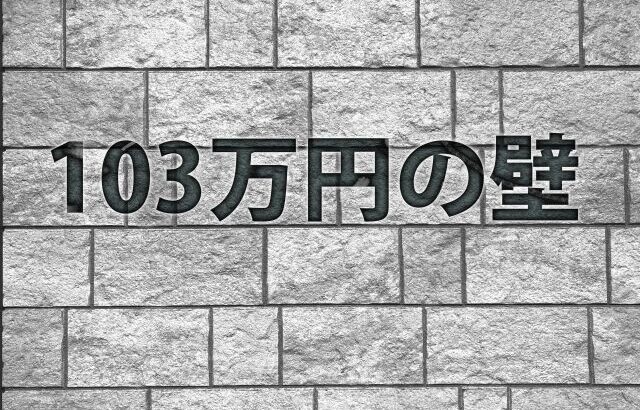 自民党議員「学生に103万稼ぐぐらいアルバイトさせる方がおかしいだろ！学生は勉強が第一」