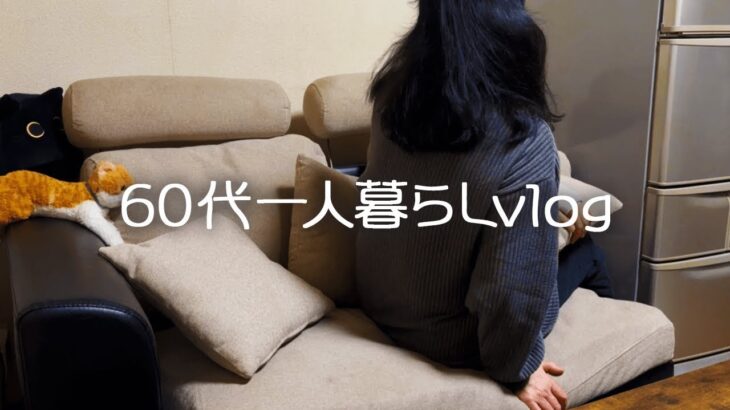 【60代年金暮らし】お金がぶっ飛んだお正月/怪我をして大出費に泣く私/片手でできる照り焼きチキン #165