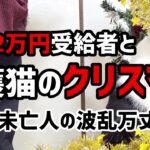 【60代一人暮らし】年金2万円受給者と保護猫りんのクリスマス【シニアVlog】